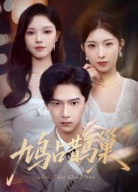 鸠占鹊巢顶流夫人的致命陷阱(全集)