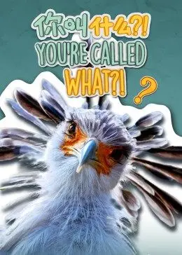 你叫什么?(国)(全集)