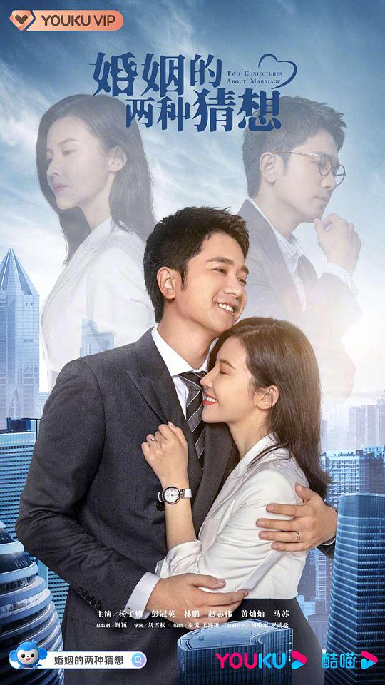 婚姻的两种猜想DVD版第28集