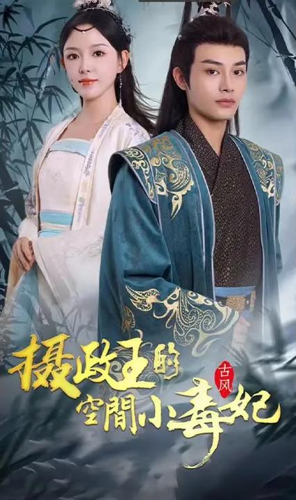 摄政王的空间小毒妃全集(大结局)