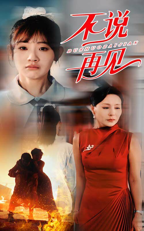 不说再见第29集