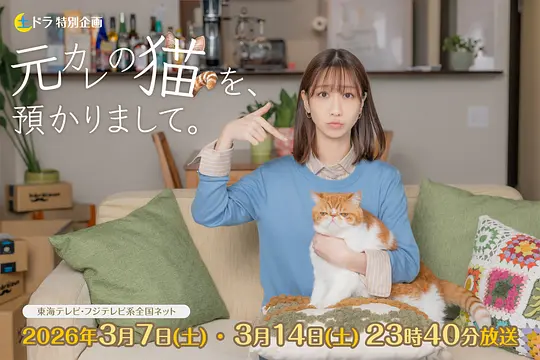 我收留了前男友的猫(全集)